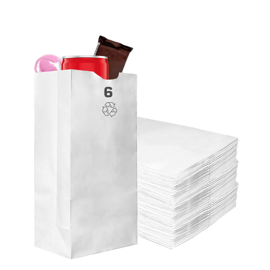 White Kraft Bag - 500ct - #6