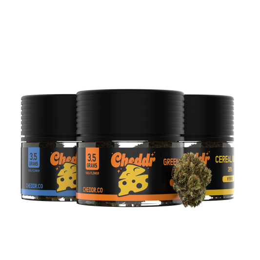 Cheddr 3.5g Flower | THC-A