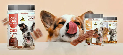 Only CBD - 500mg CBD Dog Treats - 50ct Jar