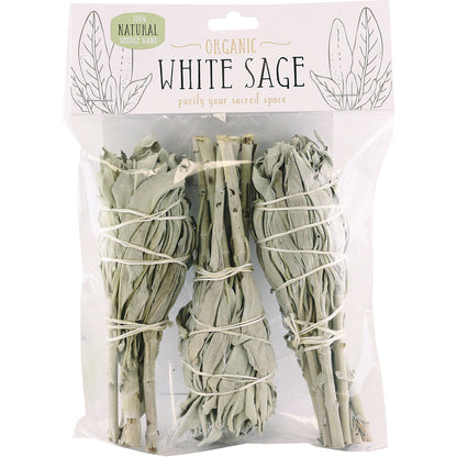 Smudge Kit - 4" Sage - 3ct [ SAGE1BK ] +